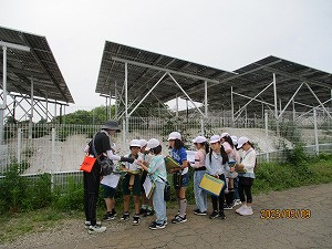 IMG_5781