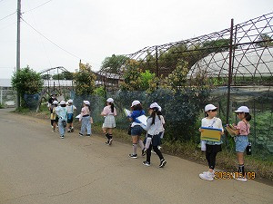 IMG_5779
