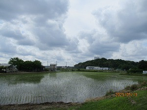IMG_5856