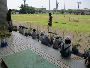 IMG_5862