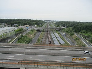 IMG_5918