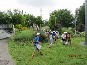 IMG_6079