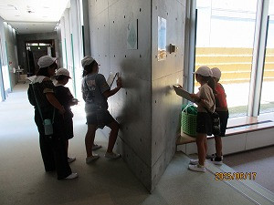IMG_6184