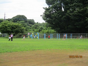 IMG_6481