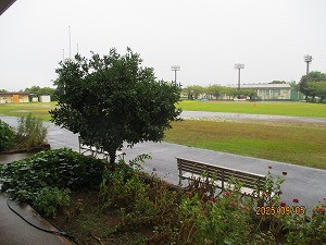 IMG_6737