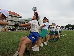IMG_8086