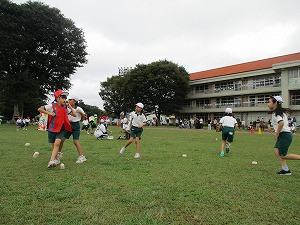 IMG_8112